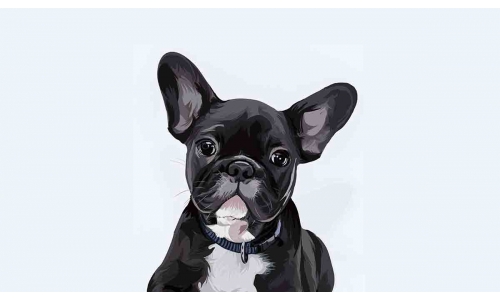 Welcome to Wonderful World of Digital Pet Painting and Portraits 