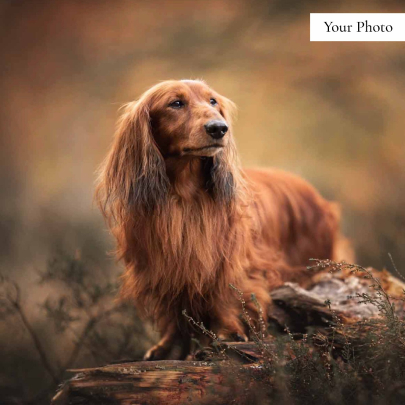 Digital Pet Art Personalised Gift