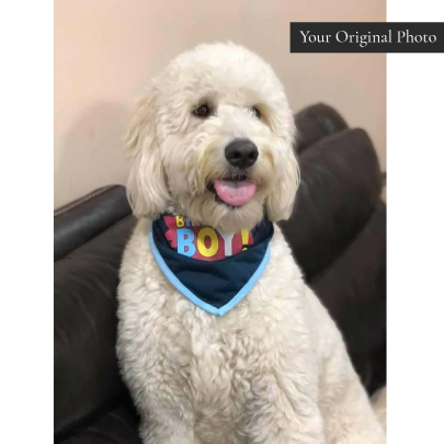 Modern Custom Pet Portrait Personalised Gift
