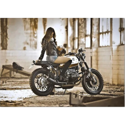 Classic Motorcycle Girl Wall Art Canvas Painting Posters 