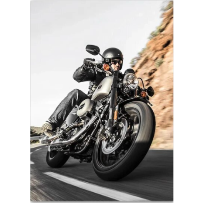 Classic Motorcycle Girl Wall Art Canvas Painting Posters 