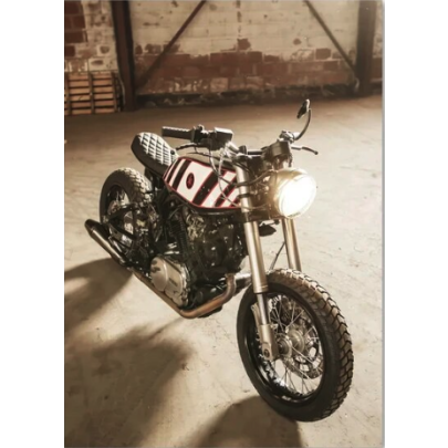 Classic Motorcycle Girl Wall Art Canvas Painting Posters 