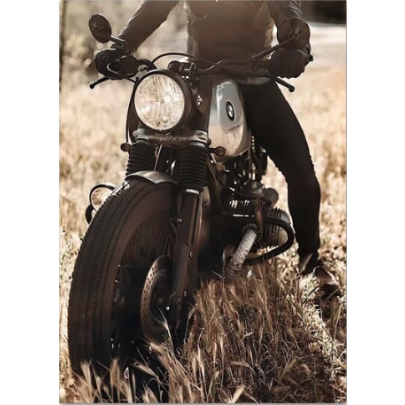 Classic Motorcycle Girl Wall Art Canvas Painting Posters 