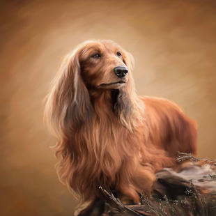 Digital Pet Art Personalised Gift