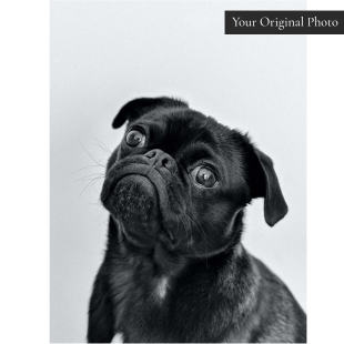 Charlie Pet Portrait Poster Personalised Gift