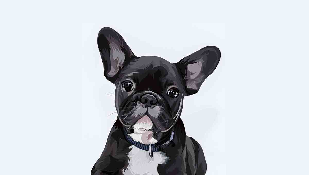Welcome to Wonderful World of Digital Pet Painting and Portraits 